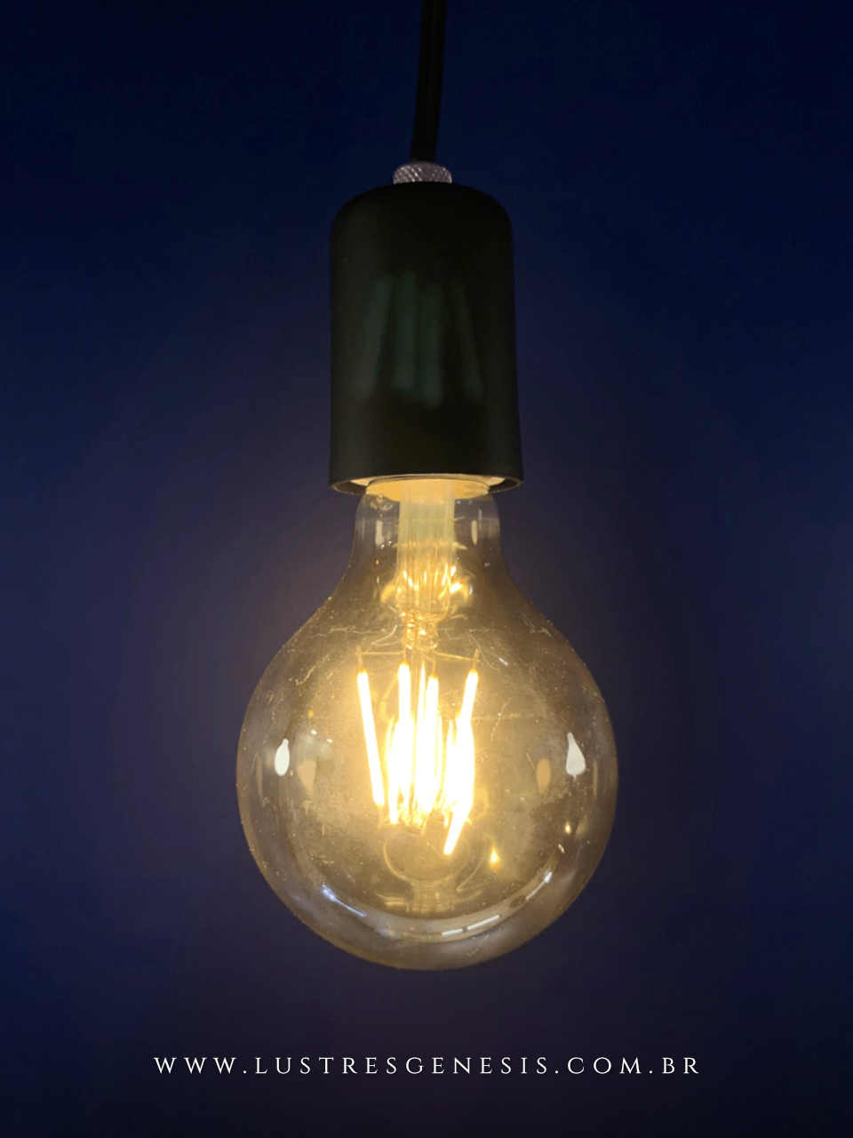 Lâmpada de Filamento de LED Dimerizável G95 4W Squirrel Cage iluminada Lustres Gênesis loja online de Lustres e Iluminação Decorativa